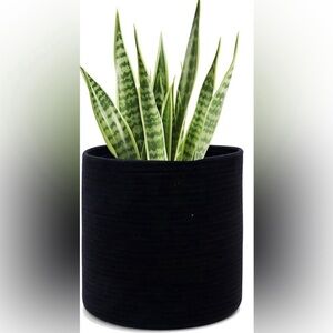 ❤️NWOT Boho minimalist woven rope storage planter flower pot basket